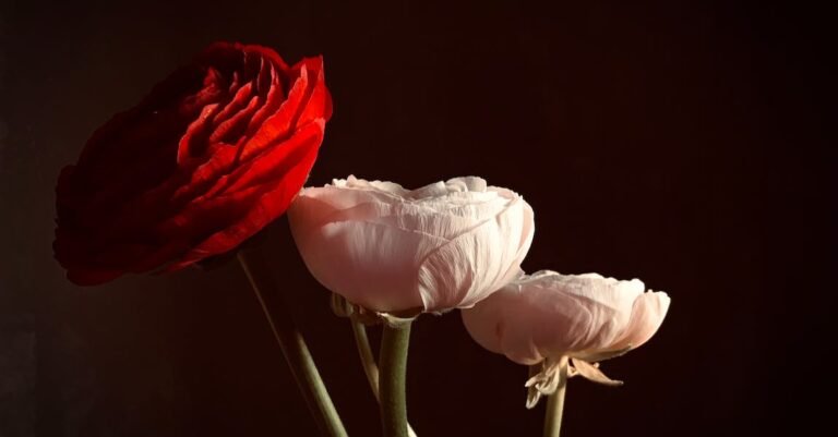 Improve On Nature With These Simple Beauty Tips