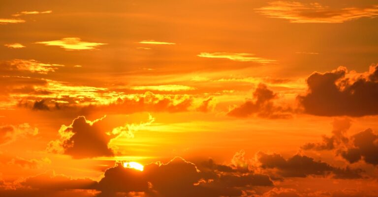 What Everyone Ought To Know About Beauty