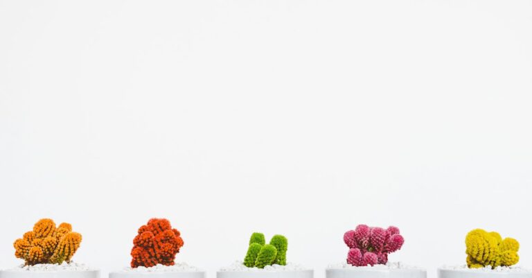 Oil Pulling- How To Whiten Teeth Naturally