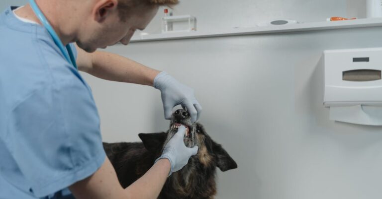 Show Off Your Bright Whites After Using These Teeth Whitening Tips