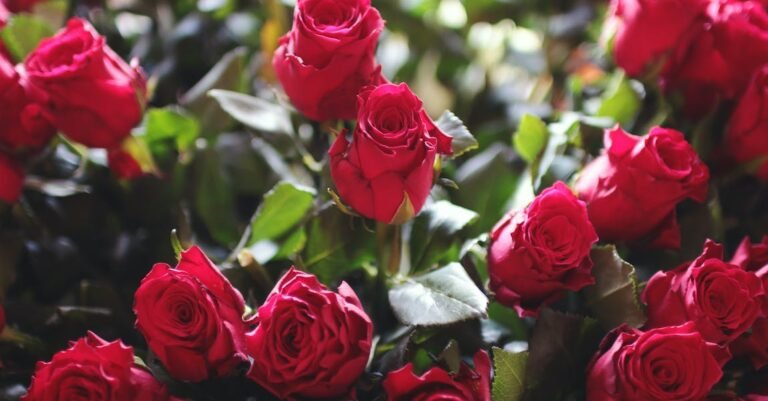 Wow Your Friends With These Simple Beauty Tricks