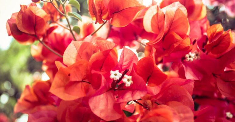 Always Stay In Fashion With These Timeless Beauty Tips