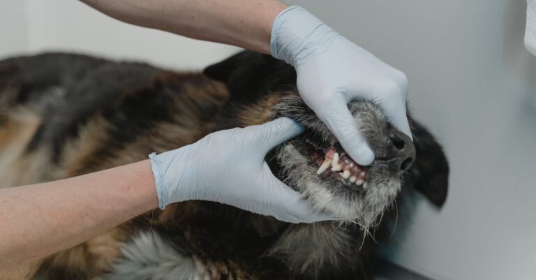 Teeth Whitening Tips You Can’t Afford To Miss