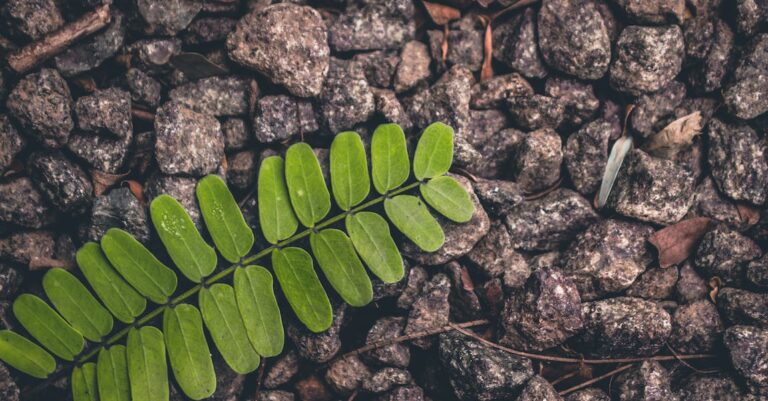 How To Know If You Have A Makeup Addiction